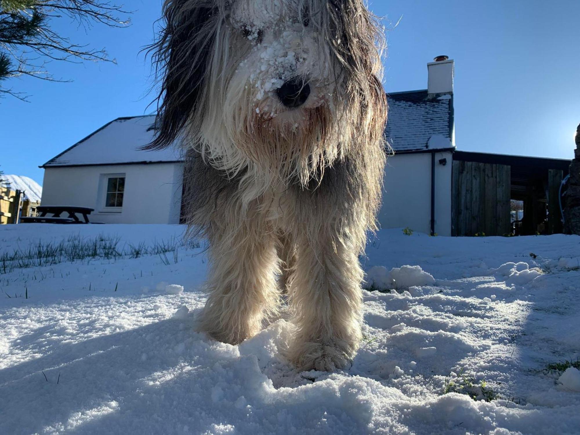 Glas Bheinn Cottage Luib ภายนอก รูปภาพ
